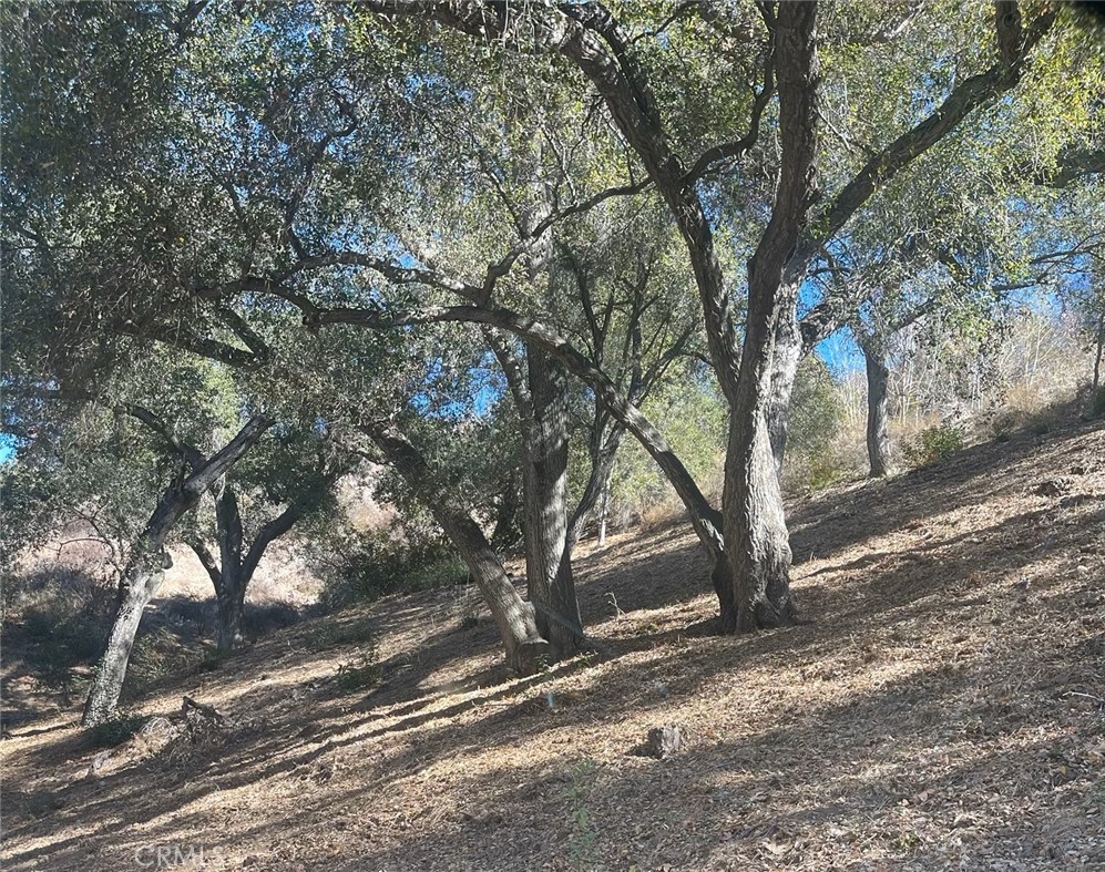 Fallbrook - Land
