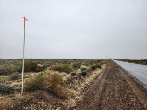 Photo of 45230 Fairview Road, Newberry Springs, CA 92365 (MLS # HD25033140)
