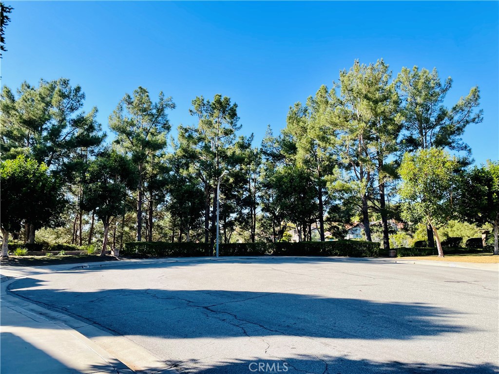 Village at Brea Summit (VIL) - Residential Lease