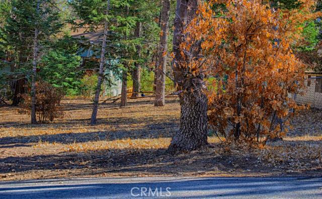 Close to town and Snow Summit and just steps to the forest. Perfect to build on flat and beautifully treed. Paved road and utilities available. Second adjacent lot also available.