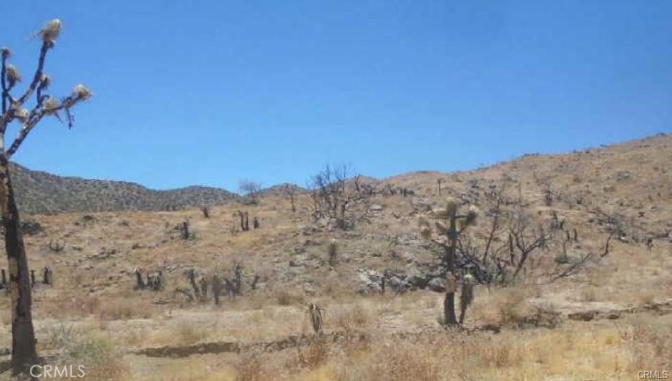 Looking for a parcel of land or future development or for camping. You found the perfect 5 acre lot to spend the summer nights stargazing with the family and enjoy the wildlife that lives in the desert.