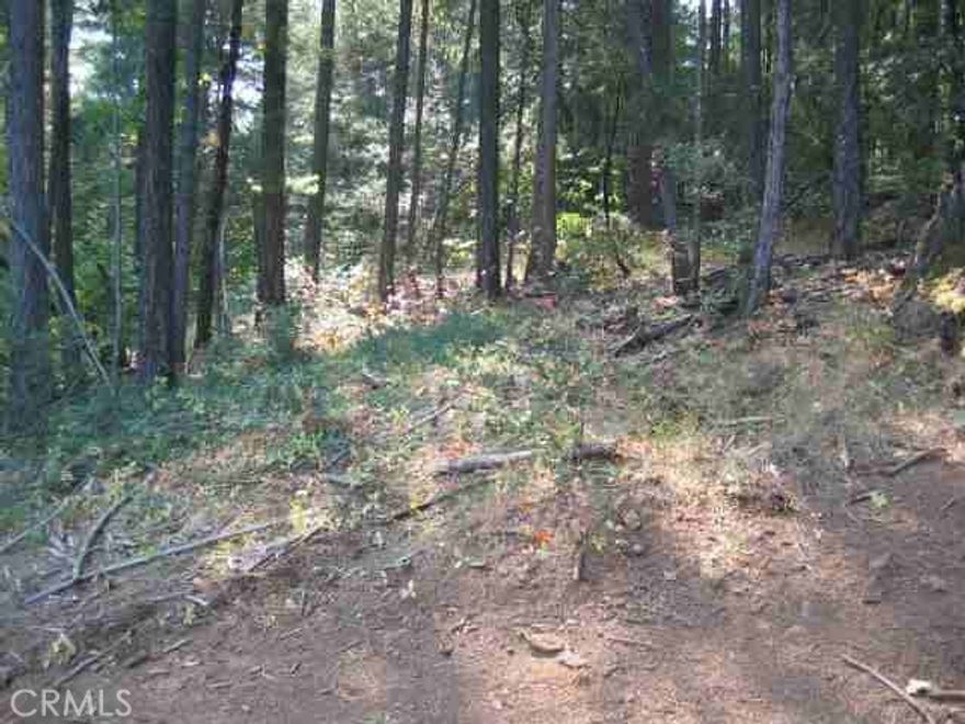 level acreage with water well that previous owner said was 400 feet deep and produced 10 gallons per minute.  owner may finance the loan