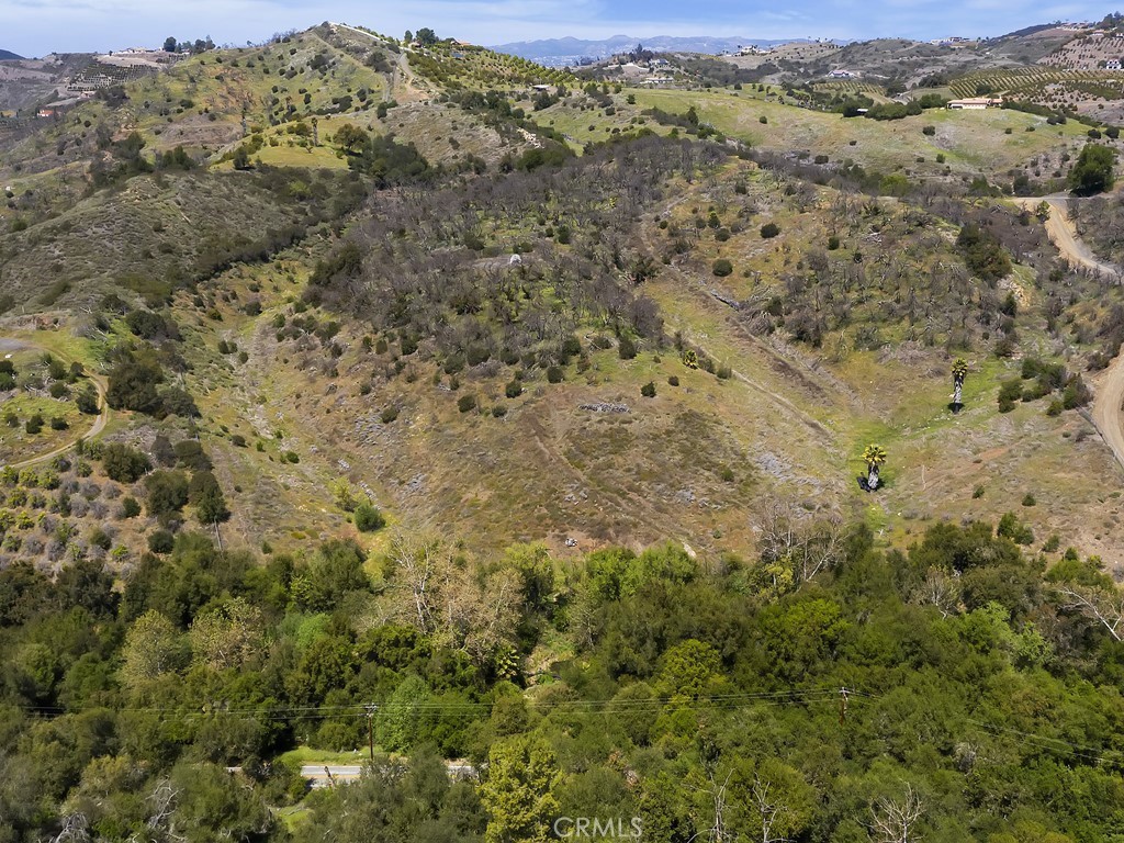 0 Avenida Del Oro
