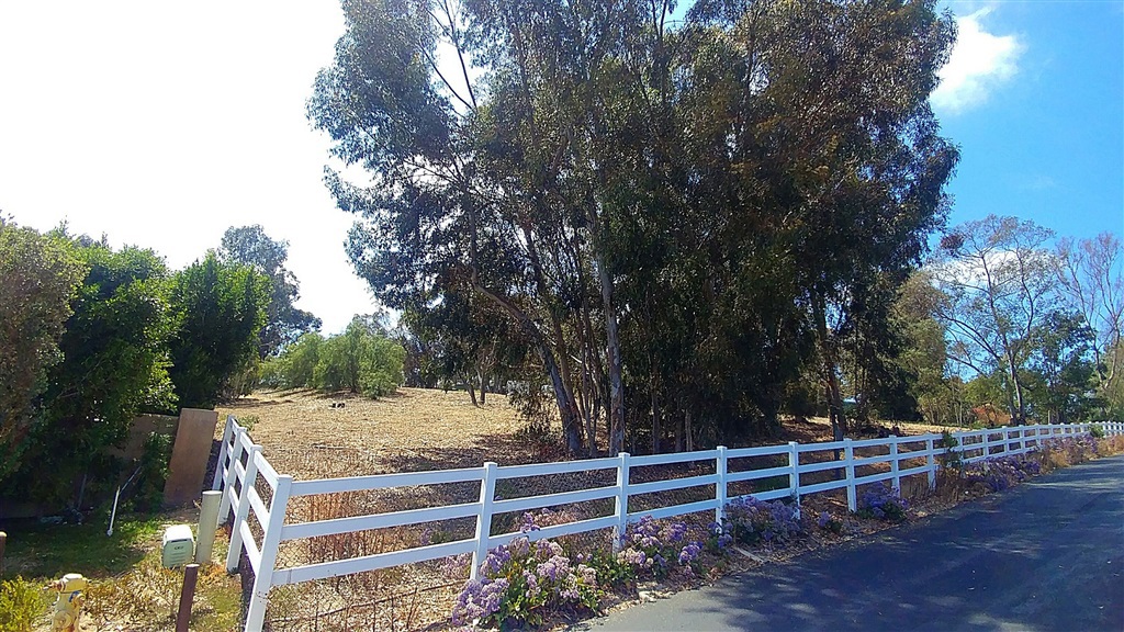 Del Mar - Residential