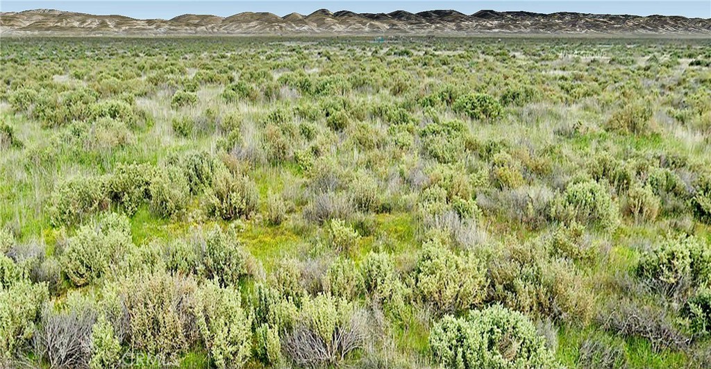 Carrizo Plains/California Valley(62) - Land