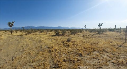 Photo of 0 APN 3101-291-03-0000, Phelan, CA 92371 (MLS # CV25057144) Photo of 0 APN 3101-291-03-0000, Phelan, CA 92371 (MLS # CV25057144)