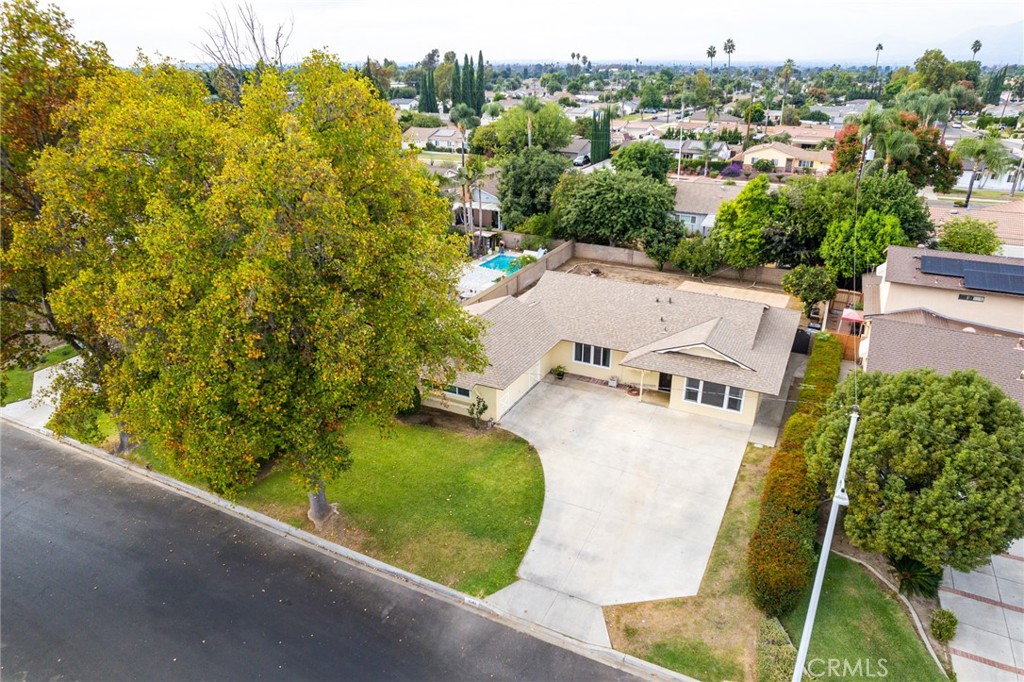 1543 Belmont Avenue