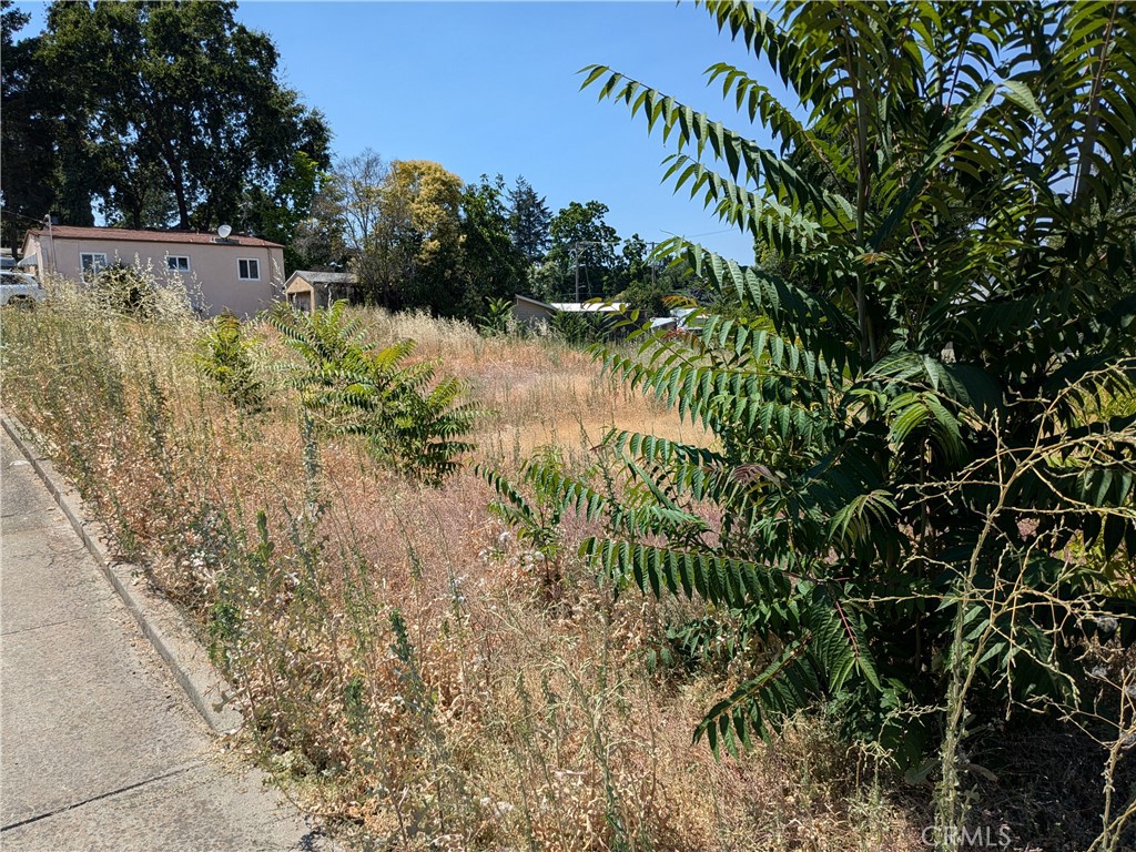 Great Location! One block from Downtown Lakeport. Zoned PO, PD. Being sold together with adjoining lot priced at $49,900 each lot. Directly behind Fire Station. Build your business right up the road from the Lake. With visibility from Main St take advantage of all that Lakeport has to offer. Water and Sewer already in on one of the lots.