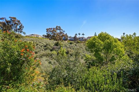 A home in Dana Point