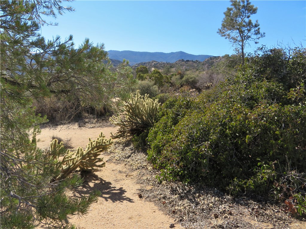 2.99 gorgeous view acres in the coveted Pinyon Crest Community, just above Palm Desert! Views to the desert floor, spanning across the stunning native landscape to the nearby majestic San Rosa's and beyond. Ancient trails leading out to great adventures on the same trails that are worn from travel from the Native people who traversed this spectacular area. This parcel is "raw" yet off a paved road in a wonderful community known for its dedication to maintaining the natural habitat, with well water that is unsurpassed!
If you desire to be close to all important city amenities, yet up out of the city "restrictions and congestion..."and live in a milder 4 season climate with access to the great outdoors literally outside your door, you owe it to yourself to come up and take a look at a great place to build your future getaway, or permanent residence.
You will need to connect to the Pinyon Crest Water System, add a septic system and be aware of any and all county restrictions, permits and community by laws.