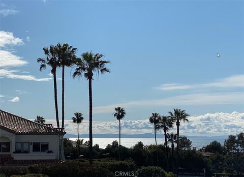 A home in Dana Point