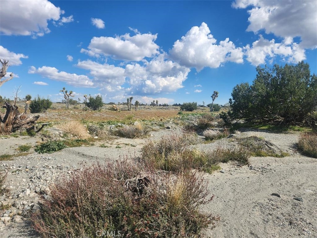 2647 Minero Road