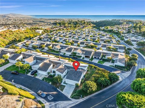 A home in Laguna Niguel