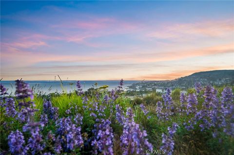 A home in Laguna Beach