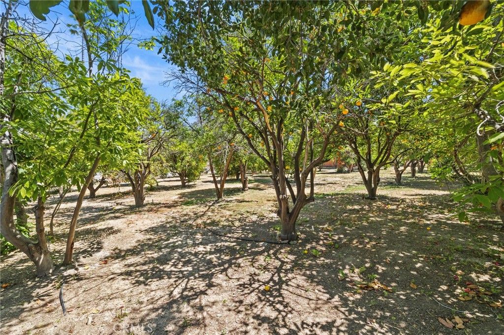 listing image 60