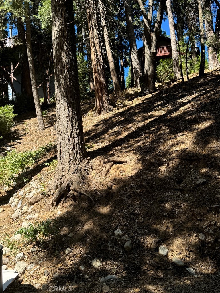 Located in the beautiful Lake Arrowhead villas. Surrounded by trees this vacant lot is close to available water and electric utilities. However, Arrowhead Villas Mutual Service Company (AVMSC) has a moratorium on new water meter shares. Please contact AVMSC for any updates.