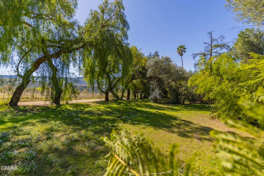 Ojai, California 93023, United States, ,Land,Active,99167