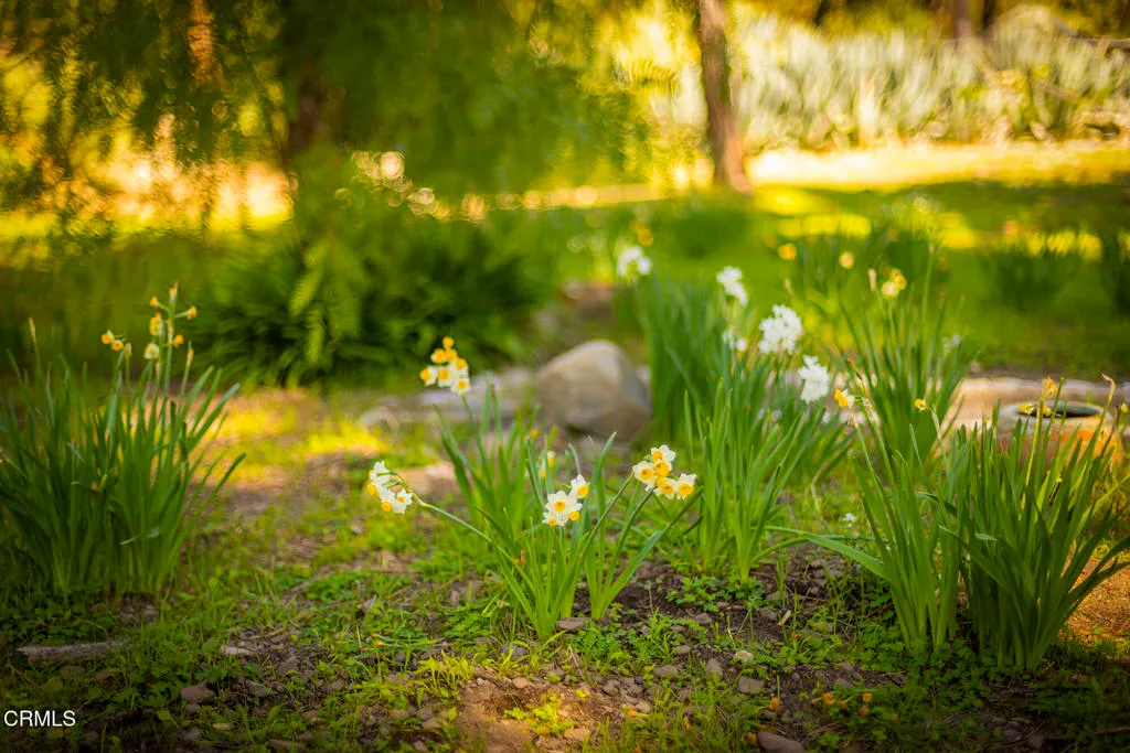 Ojai, California 93023, United States, ,Land,Active,99167