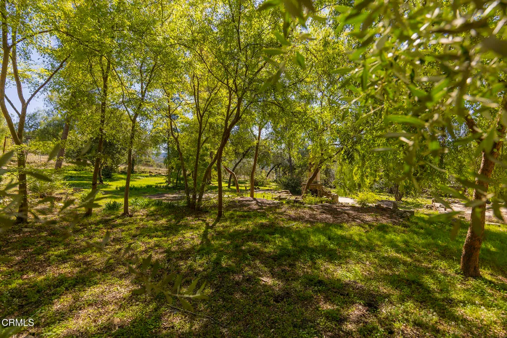 Ojai, California 93023, United States, ,Land,Active,99167