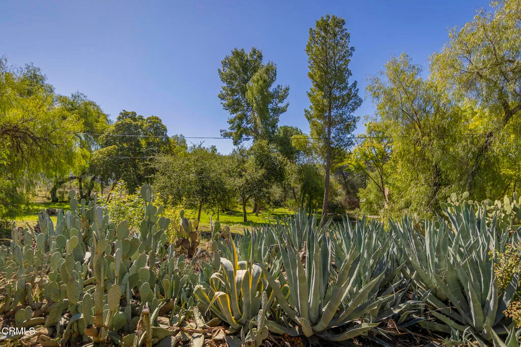 Ojai, California 93023, United States, ,Land,Active,99167