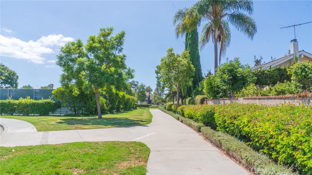 Courtside (CS) - Residential Lease