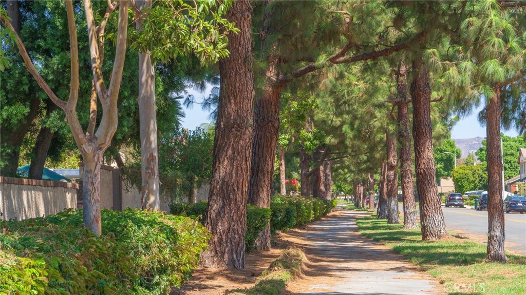 Courtside (CS) - Residential Lease