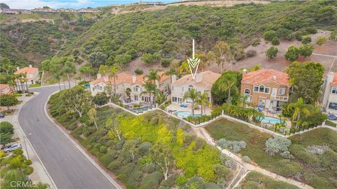 A home in Laguna Niguel