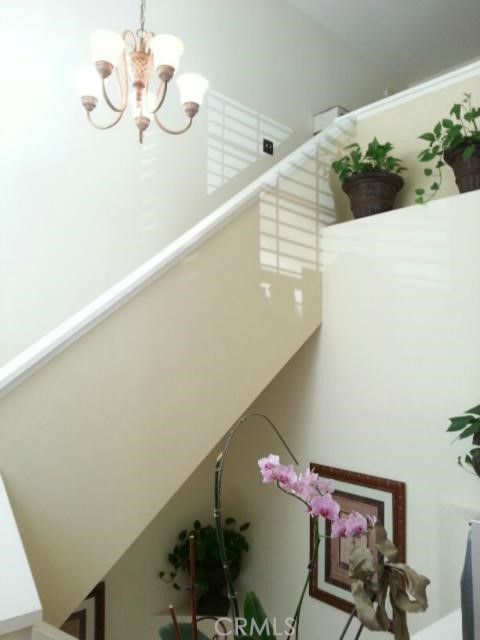 Expressions (RNE) - Residential Lease