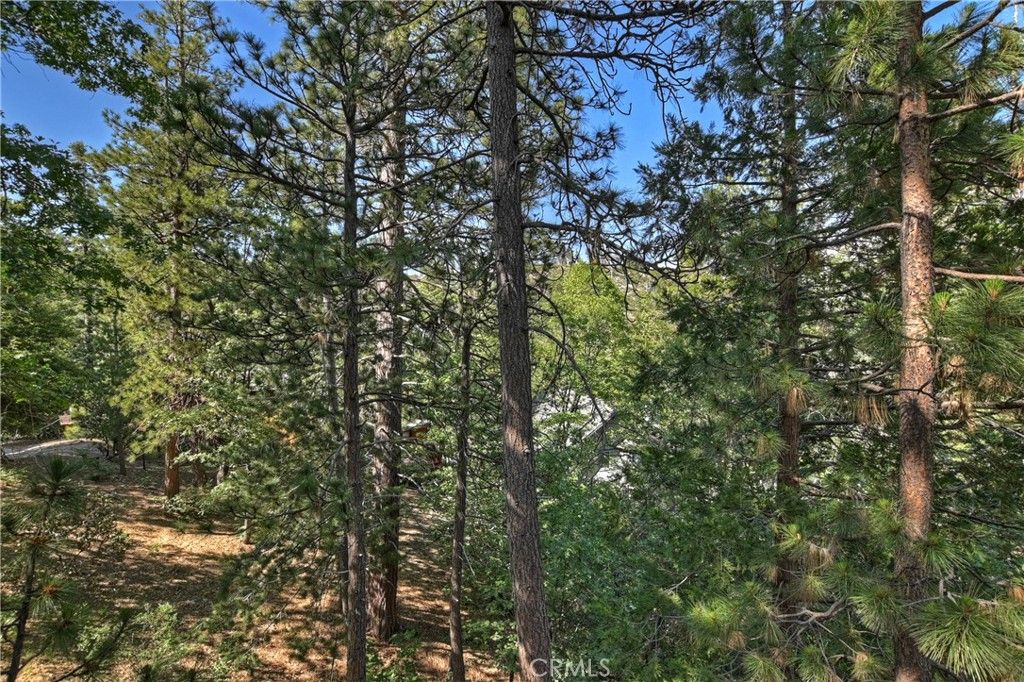 listing image 130726102208110153090