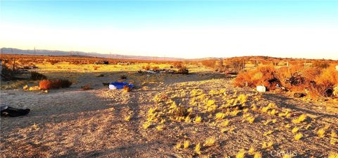 A home in Newberry Springs