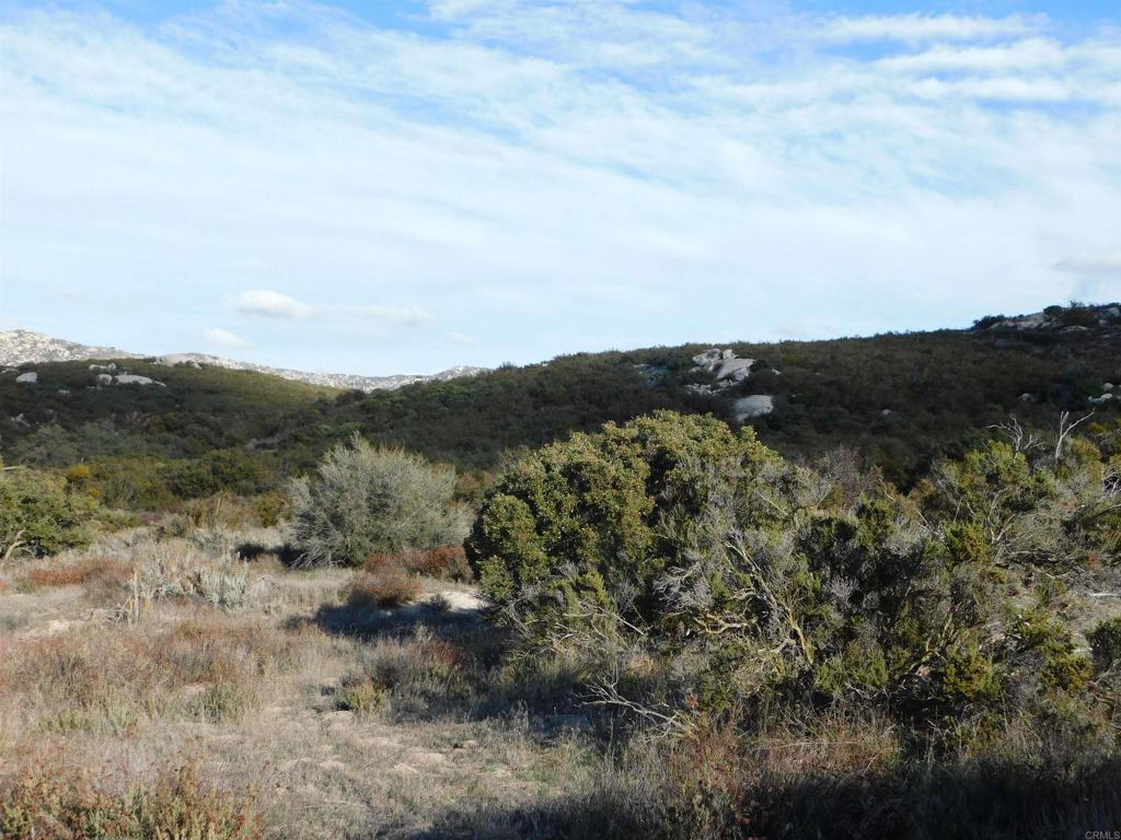 34679 Old Hwy 80