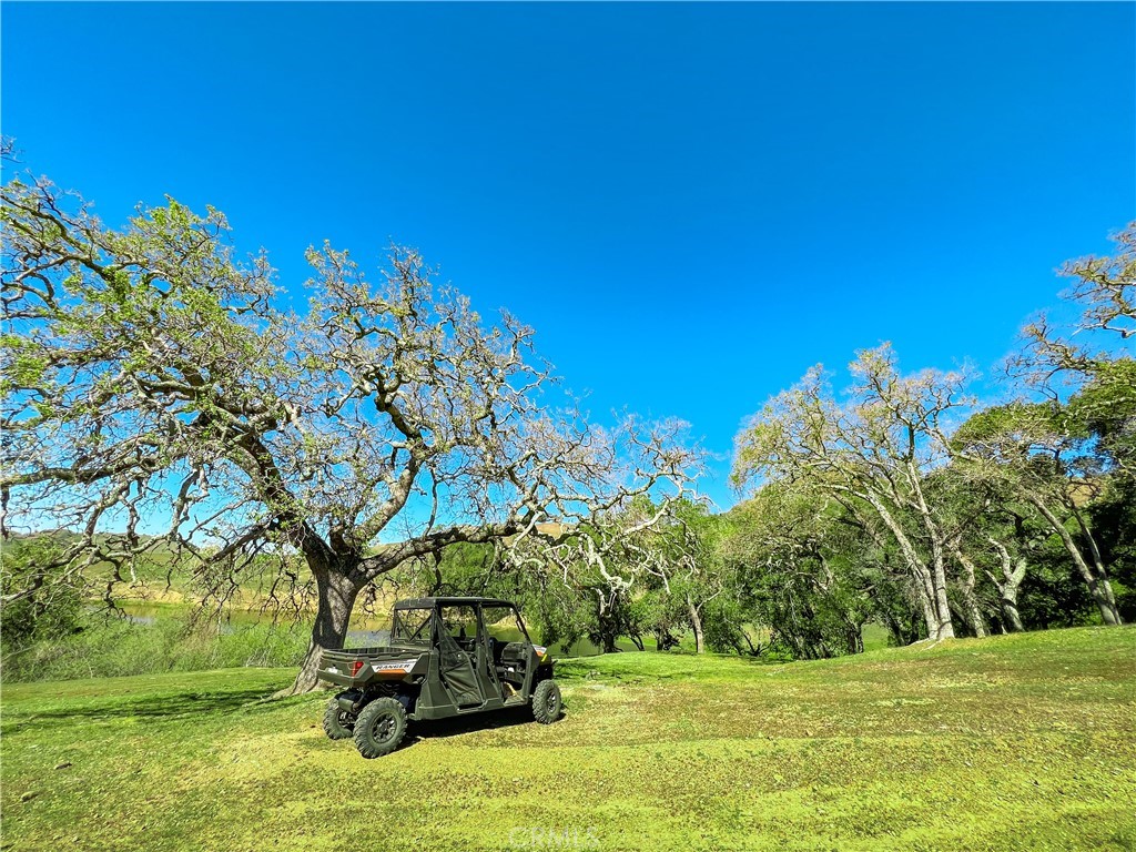 Cambria Rural(390) - Land