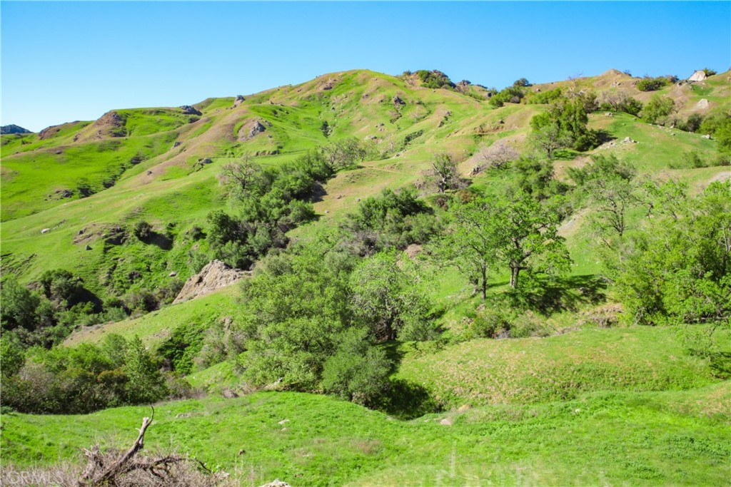 Cambria Rural(390) - Land