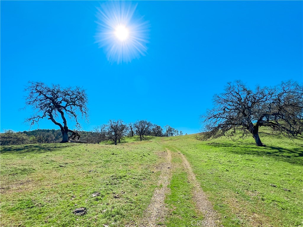Cambria Rural(390) - Land