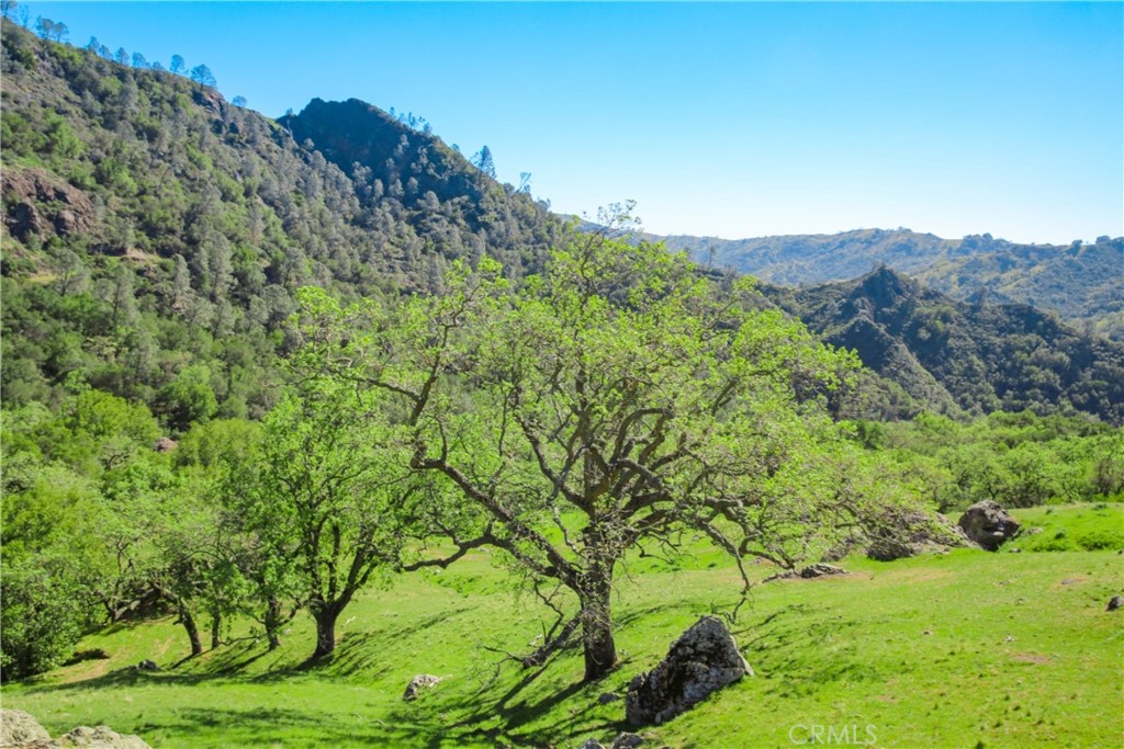 Cambria Rural(390) - Land