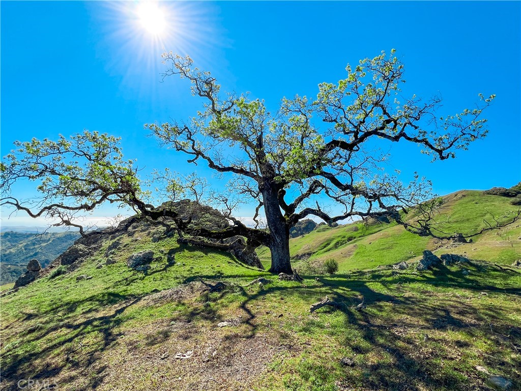 Cambria Rural(390) - Land