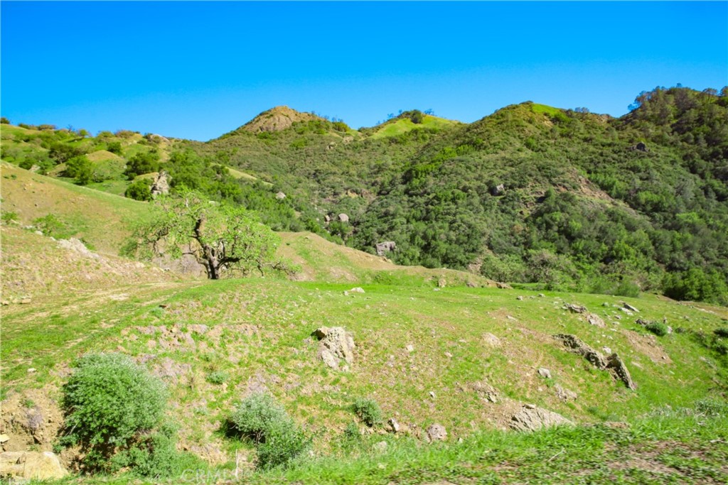 Cambria Rural(390) - Land