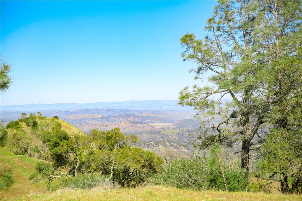 Cambria Rural(390) - Land