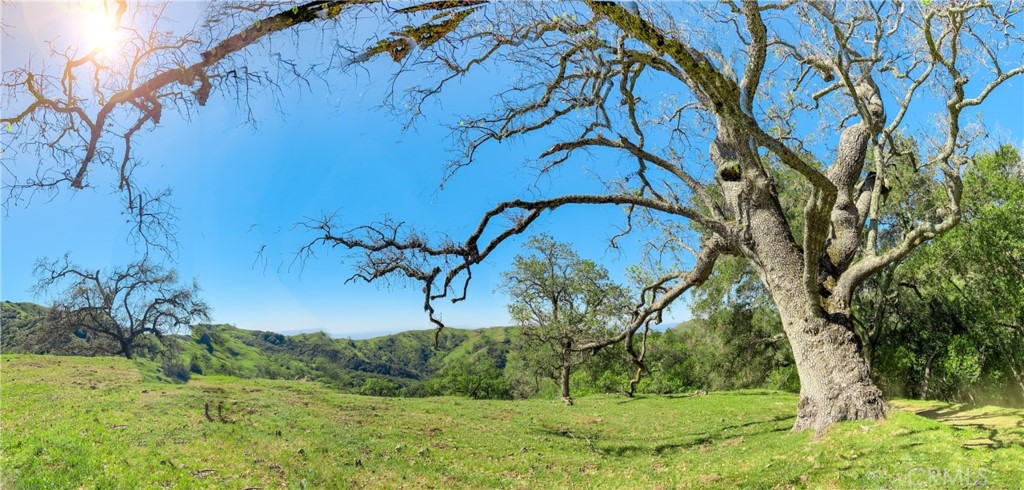 Cambria Rural(390) - Land