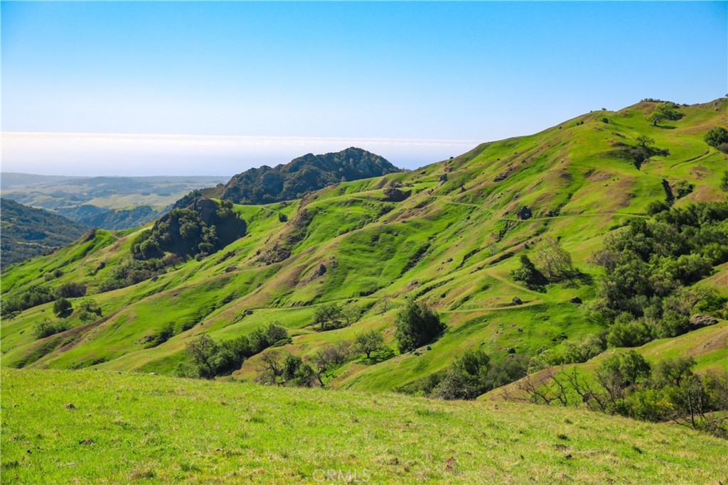 Cambria Rural(390) - Land