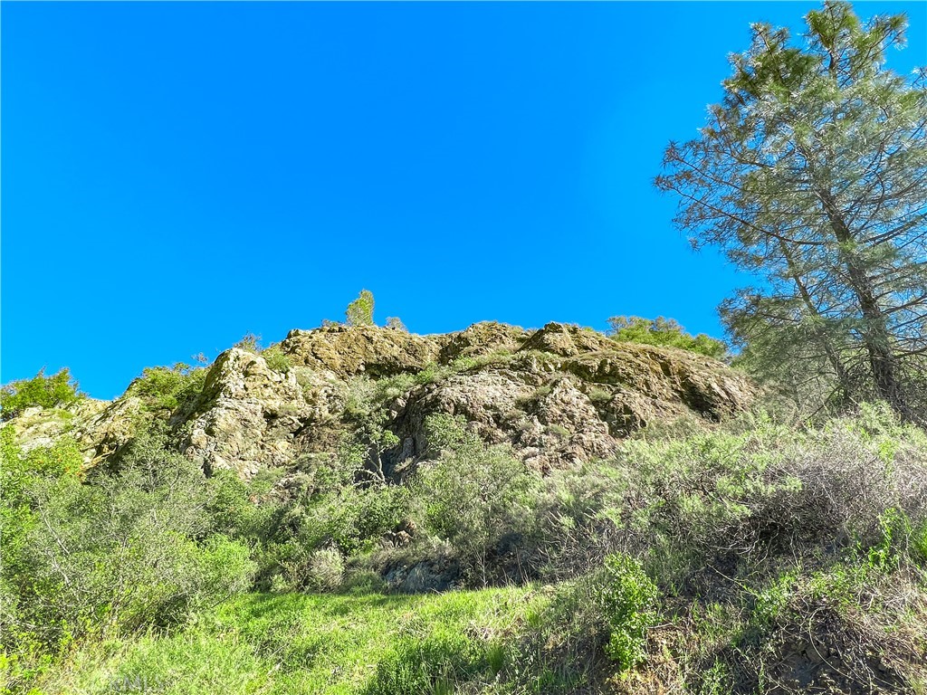 Cambria Rural(390) - Land