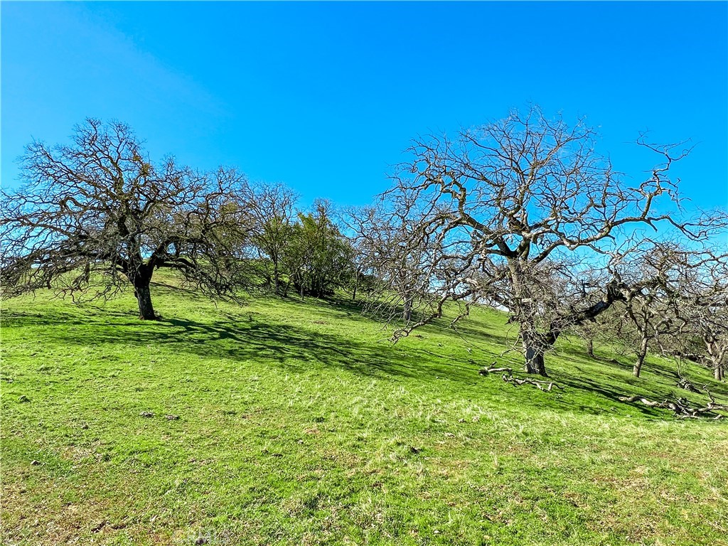 Cambria Rural(390) - Land