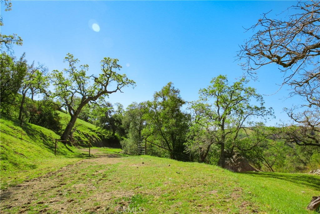 Cambria Rural(390) - Land