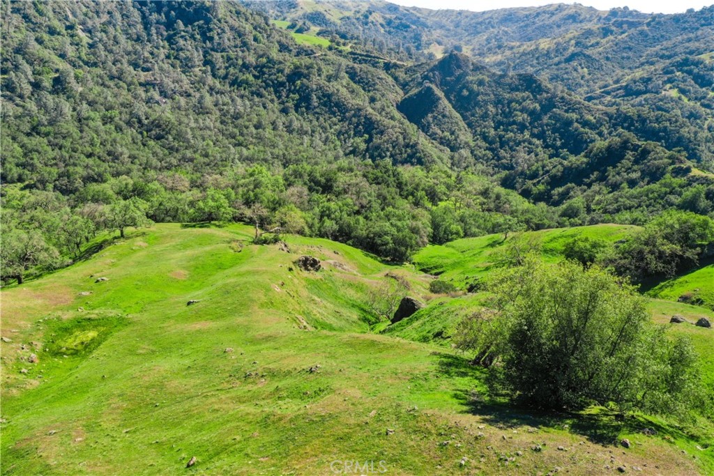 Cambria Rural(390) - Land