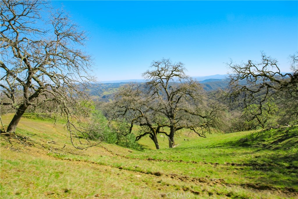 Cambria Rural(390) - Land
