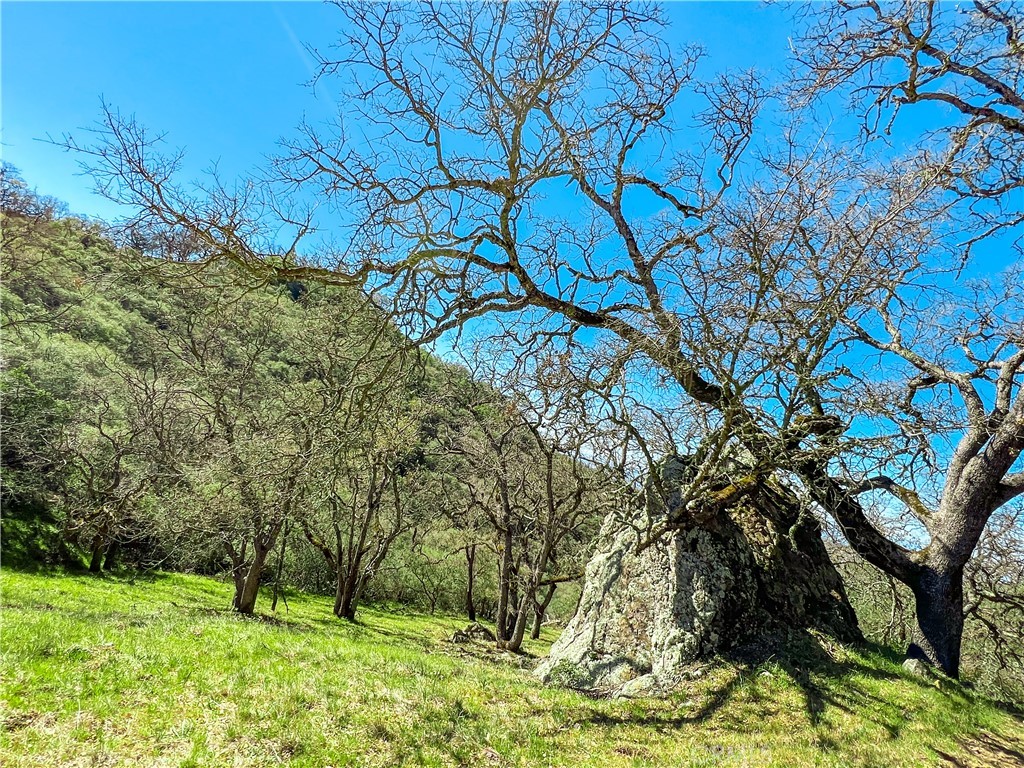 Cambria Rural(390) - Land