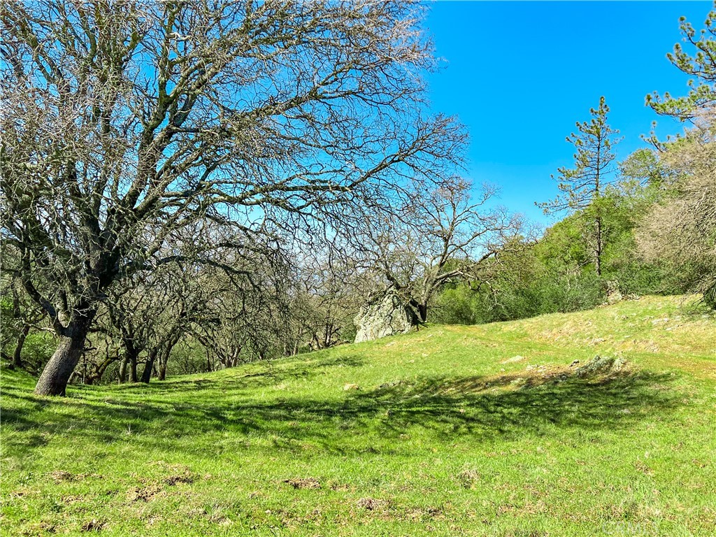 Cambria Rural(390) - Land