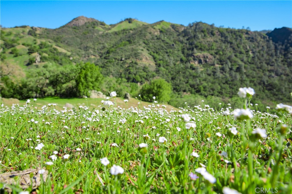 Cambria Rural(390) - Land