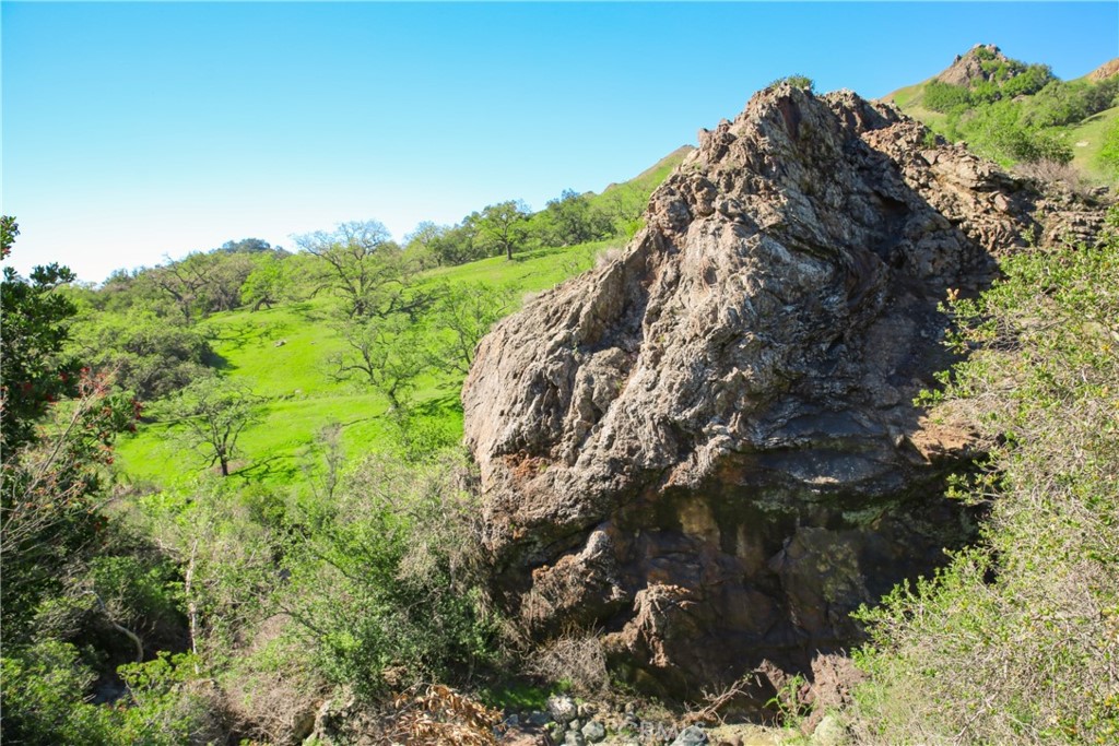 Cambria Rural(390) - Land