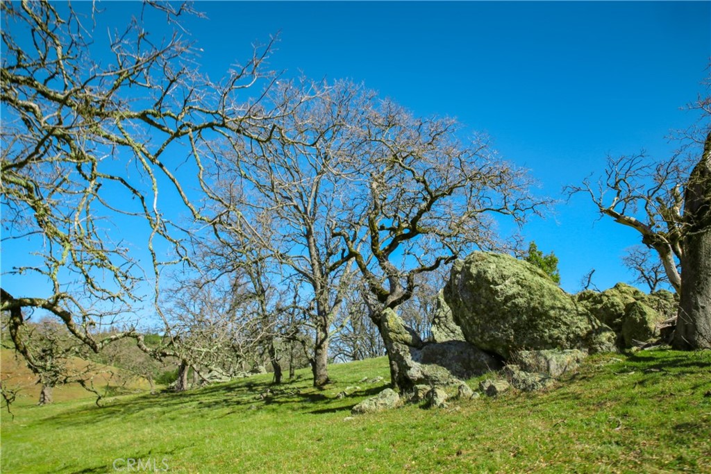 Cambria Rural(390) - Land